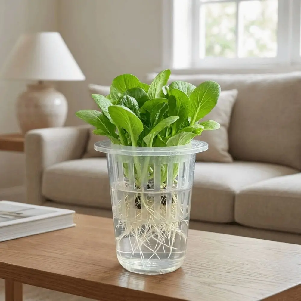 Transparent Plastic Hydroponic Mesh Cups Root View Cups Vegetable Nursery Plant Nursery Pot Planting Container Plant Propagation