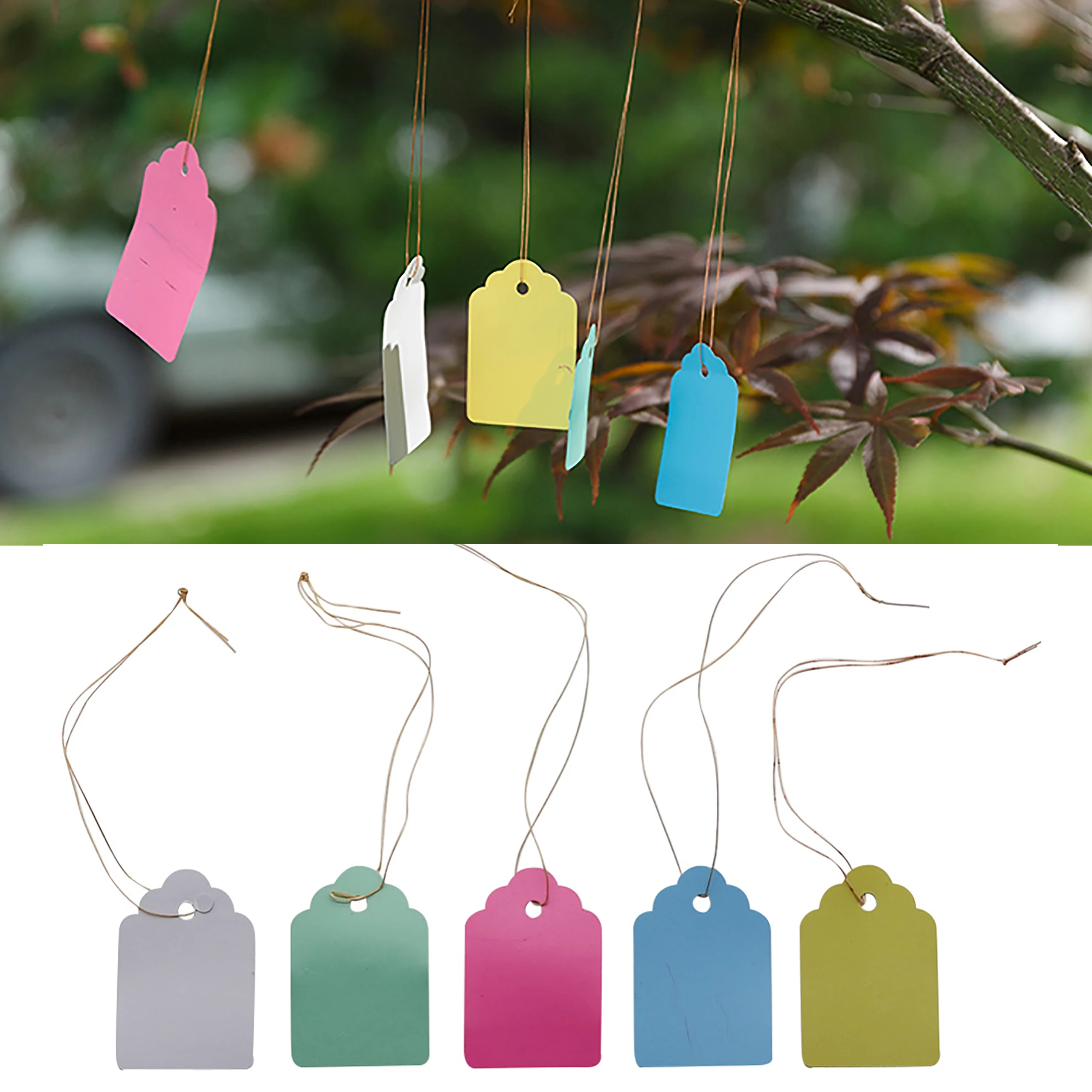 Etiquetas colgantes para plántulas DIY, marcador de plantas de 60 piezas, 3,5x5cm, 5x6,9 cm, para jardín, maceta, vegetal, PVC, impermeable, 5 colores