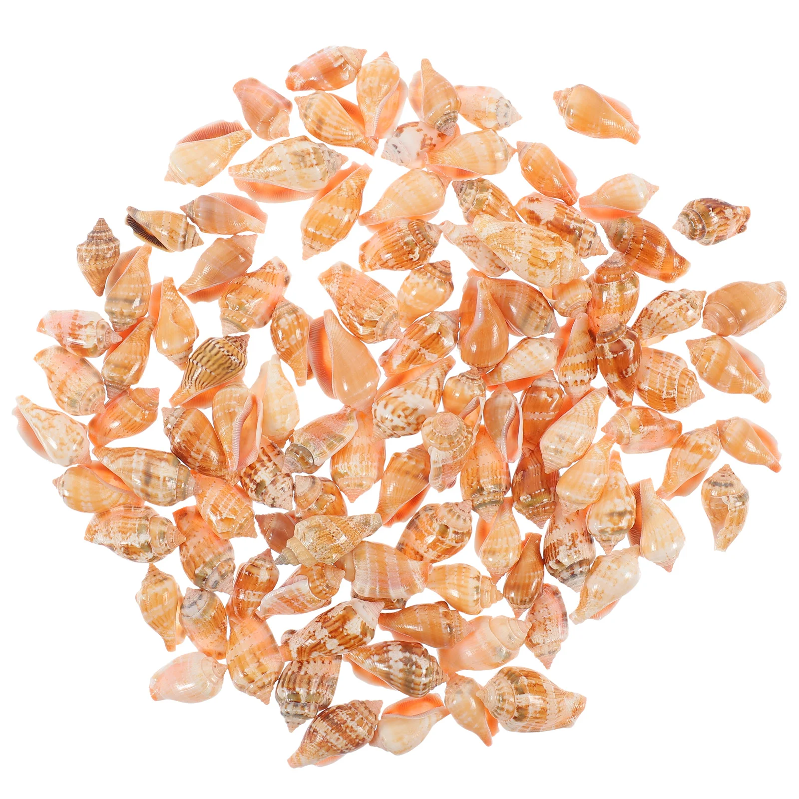 

100 Pcs Desktop Conch Decor Seashells for Craft Decorating Natural Creative Landscaping