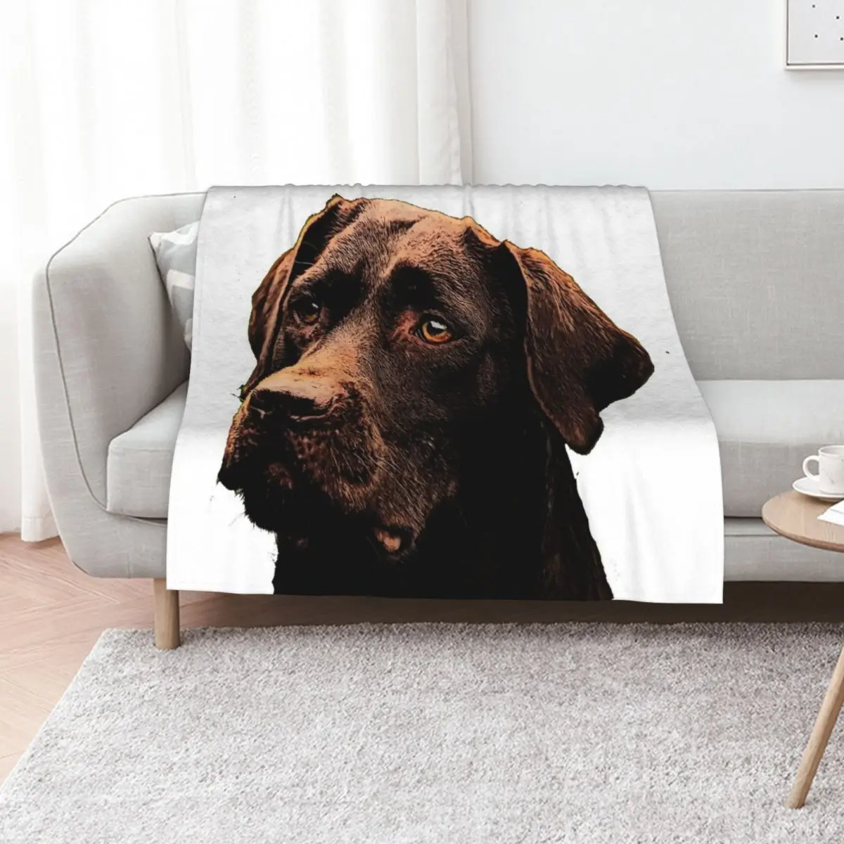 Chocolate Lab Throw Blanket Flannels Luxury Throw Flannel warm for winter decorative Soft Blankets
