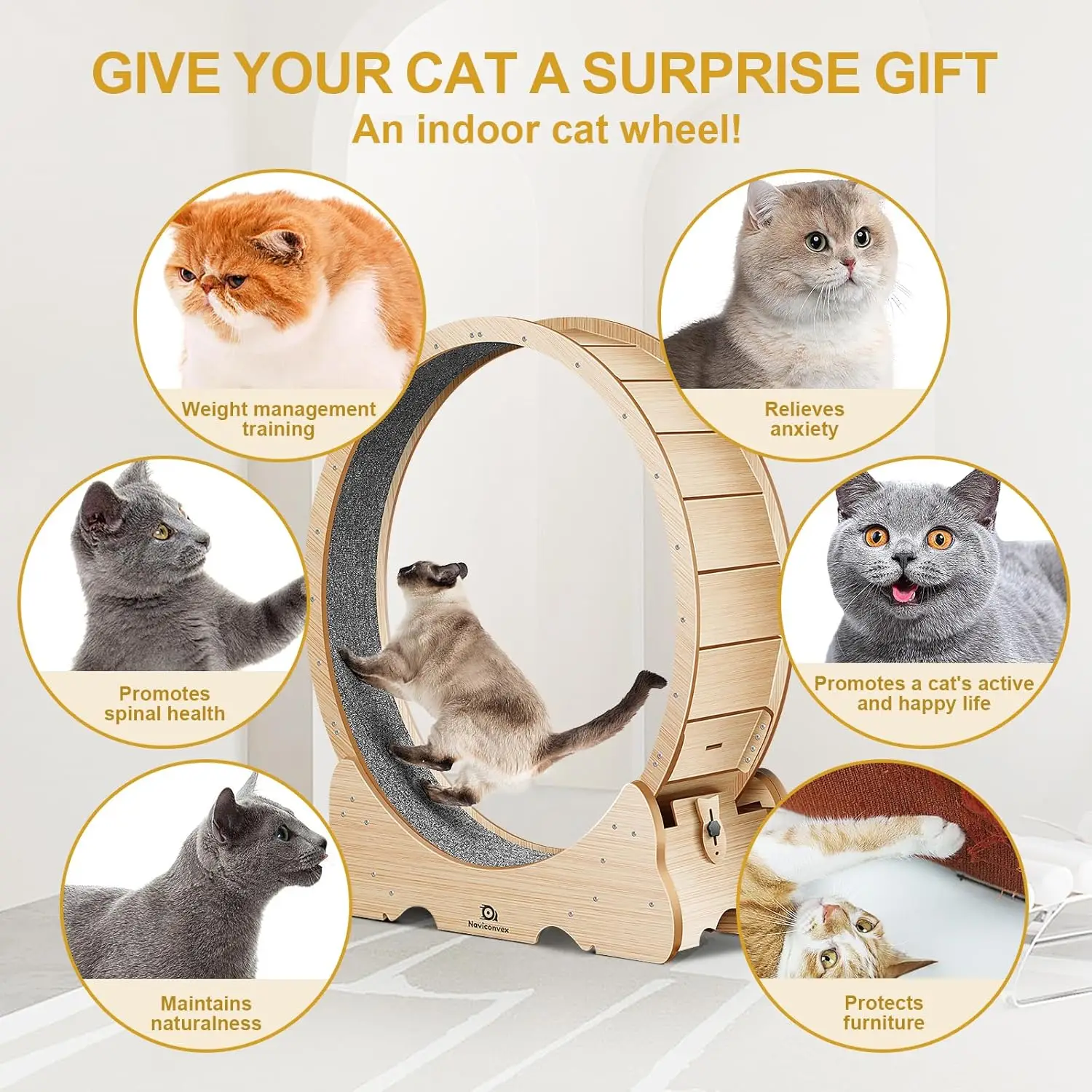 Cat Wheel, Cat Exercise Wheel with Carpeted Runway, Running Wheel for Indoor Cats, Cat Hamster