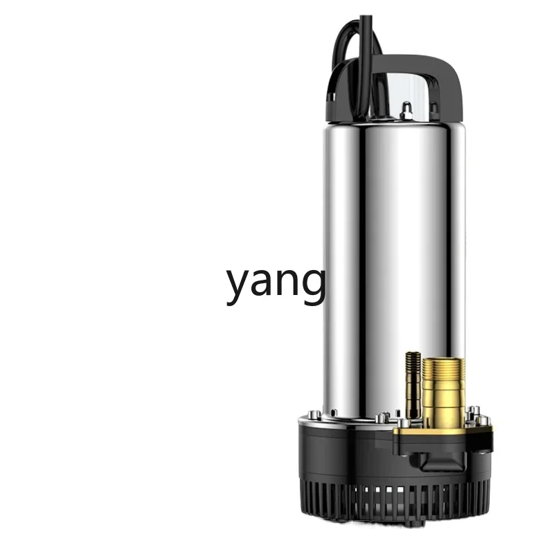 L'm DC Submersible Pump 12V24V48V60V Battery Electric Vehicle Water Pump Small Irrigation Agricultural Pump