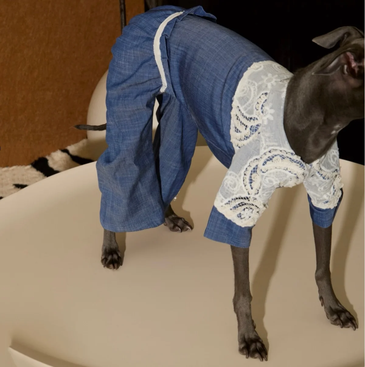 summer-spring-socialite-suit-for-italian-greyhound-casual-afternoon-tea-blue-cashew-flower-lace-tencel-denim-jumpsuit-for-dogs
