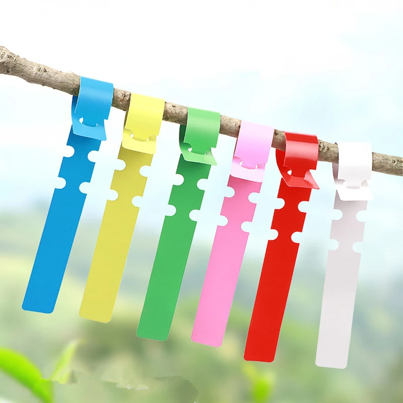 

50/100 pcs Plant Tags Garden Nursery Label hanging tree Markers seedling plant fruit trees signs prompt card classification tool