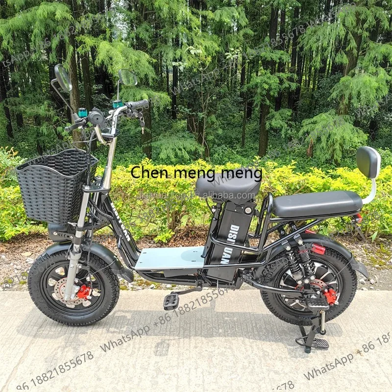 hot selling DISIYUAN 16 Inch Electric Cargo Bike for Adults 500 Watt 60V 30Ah Electric City Bike with 500 Watt Hybrid F