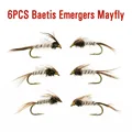 6PCS