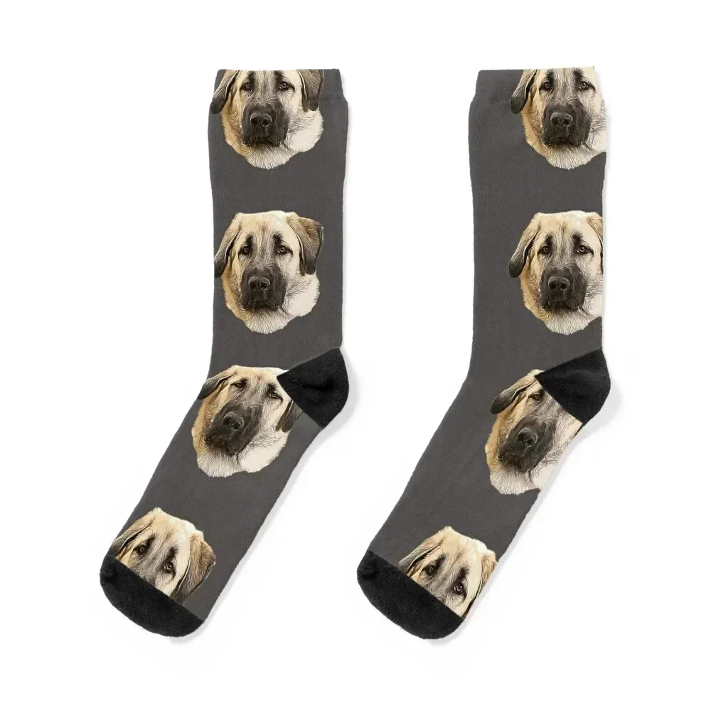 

Kangal Shepherd Dog Socks with print essential Socks For Men Women's