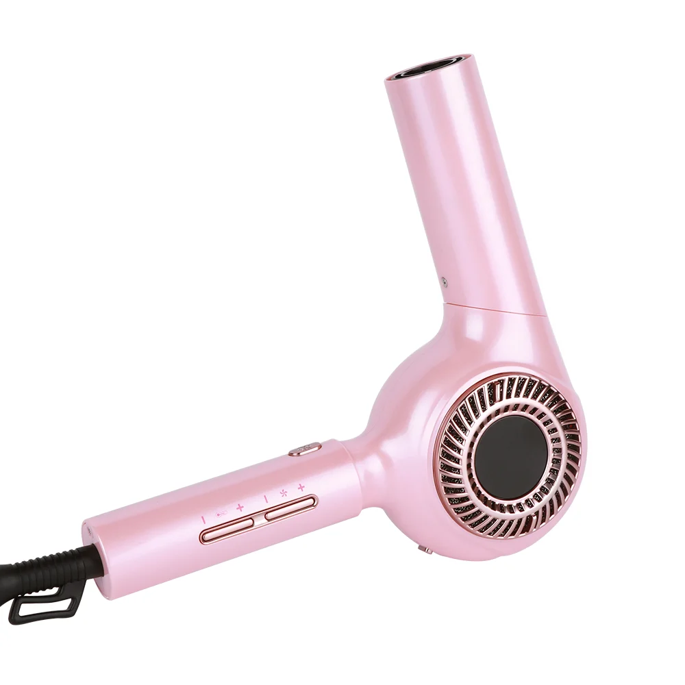 High Speed Brushless Negative Ionic Hairdryer Salon 1600w Professional Hair Dryer