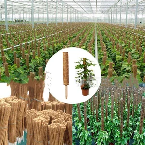 أفضل 10 مبيعات لتسلق الأشجار - رقم 1