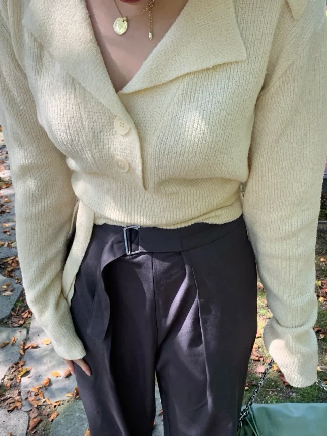 Korean Style Soft Back Strap Long Sleeve Sweater Jacket Casual Style Blend Fabric Regular Fit Pure E-commerce Autumn 2026