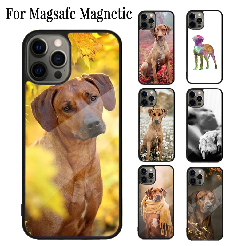 Rhodesian Ridgeback Dog Magnetic Phone Case Coque For iPhone 16 15 14 Plus 13 12 Mini 11 Pro Max Magsafe Wireless Charging Cover