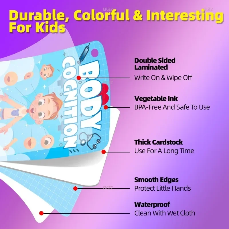 Flash Card 36 Body Cognitive Cards Cross Border Hot Sale Children's Enlightenment Education Puzzle Cognitive Card Education