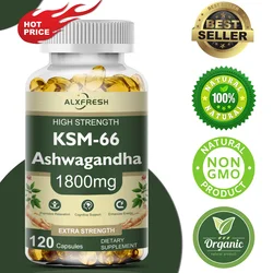 KSM-66 organiczne kapsułki Ashwagandha z cynkiem | Non-GMO, wegańskie | Suplement zdrowotny Premium