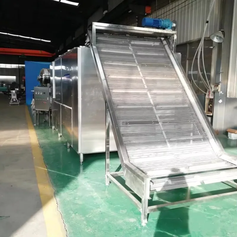 Continuous Multi-layer Conveyor Dryer Commercial Grade China Seaweeds Algae Anchovies Dehydrator Belt
