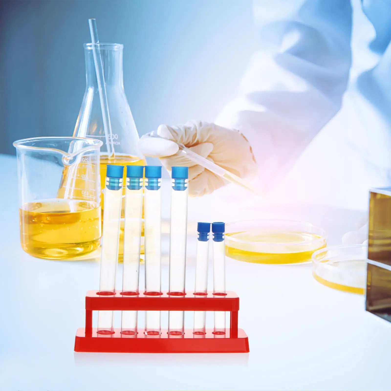 Test Tube Vases Station Stopper Container Racks Plastic Tubes with Holders Bracket Child