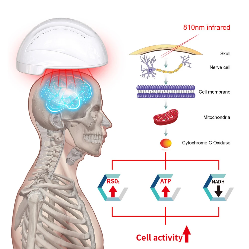 Near Infared Light Therapy Brain Photobiomodulation Device Photobiomodulation Brain Helmet