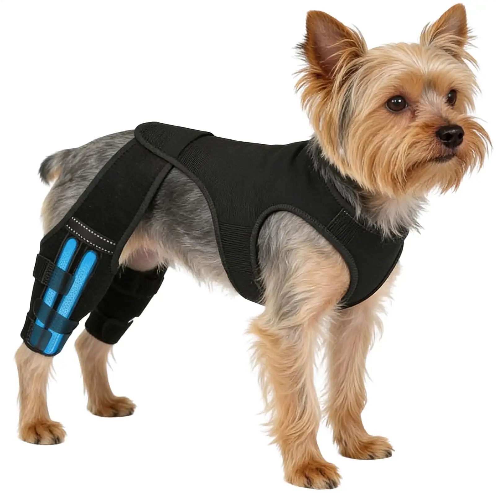 Dog Leg Brace Adjustable Wrap Joint Sleeve with 4 Metal Stabilizers Rear Leg Support for Hiking Exercise Outdoor Activities Park