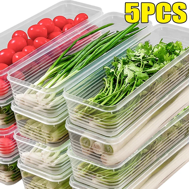 Refrigerator Fresh-keeping Boxes Rectangular Cold Storage Box Scallions Vegetable Coriander with Lid Kitchen Sealed Organizer