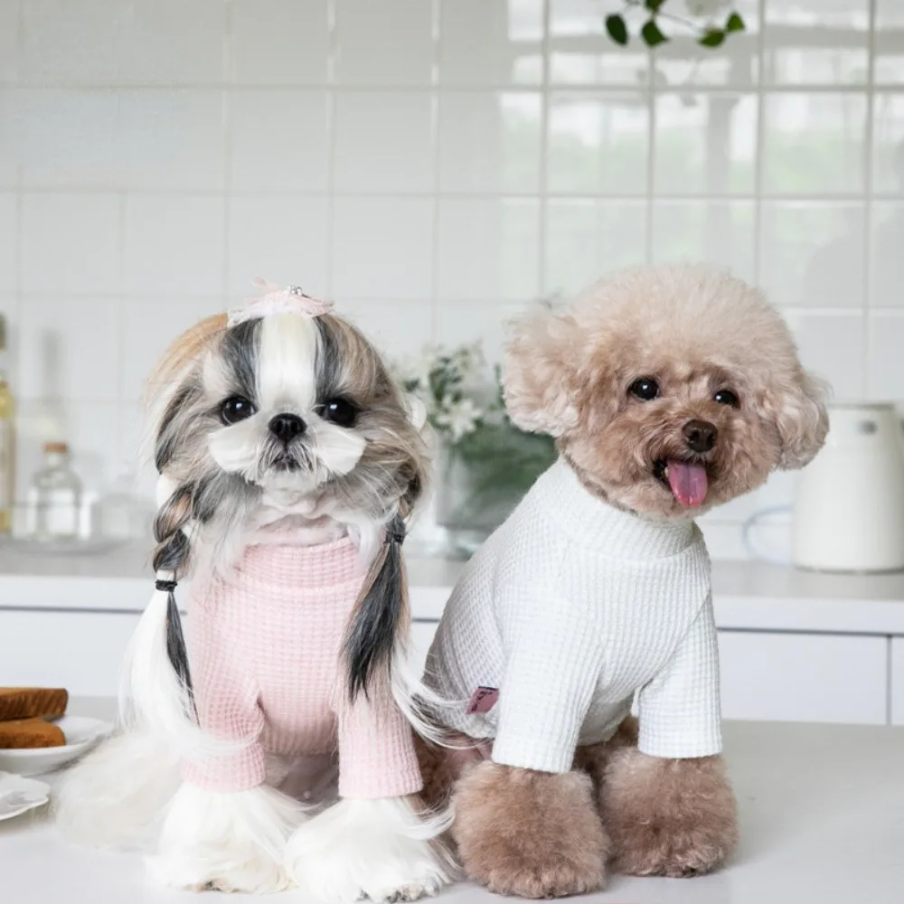 Autumn Winter Pet Clothes Long Sleeved Base Shirt Cute Solid Color High Neck Hoodie Comfortable Warm for Dogs and Cats