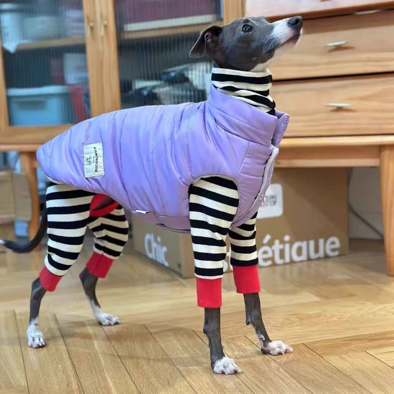 

Casual Dog Cotton Coat Purple Vest Winter Thick Quilting Vest Thick Warmth Strong Greyhound Huibit Clothes Windproof Jacket