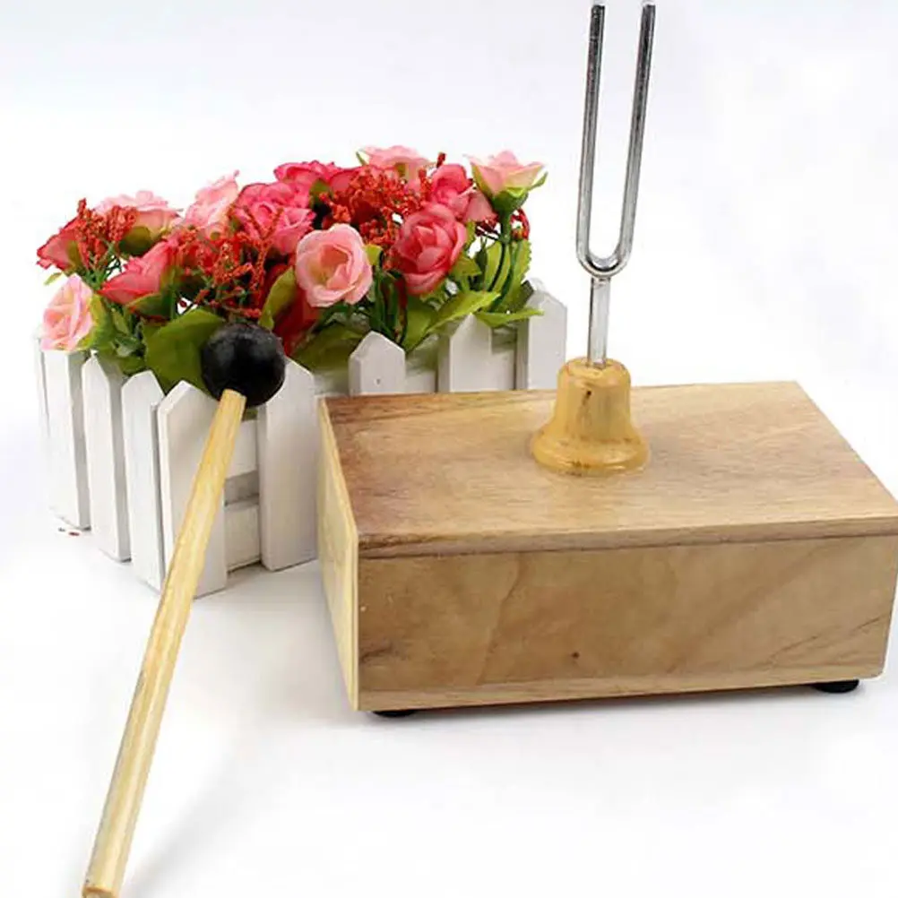 1Set 256Hz High Precision Metal Tuning Fork Set with Solid Wood Base Hammer for Physical Experiment Acoustic Testing Musical