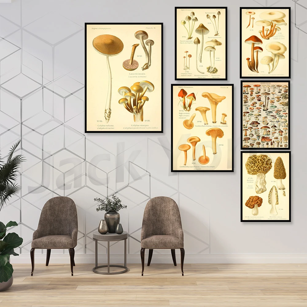 Mushroom Poster| Mushroom Diagram| Fungus Poster| Mushroom Print| Botanical Art| Champignon| Fungi Print| Fungi Art