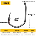 Size 6
