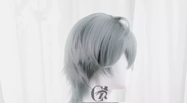 Sousou no Frieren Wise Cosplay Wigs 35cm Short Straight Grey Men Synthetic Hair