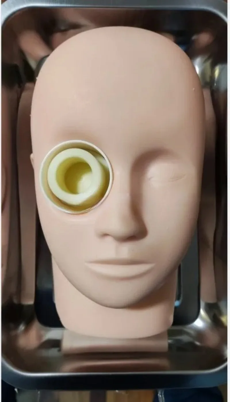 Ophthalmic Surgery Practice Model Animal Eye Pig Eye Practice Ophthalmic Head Model