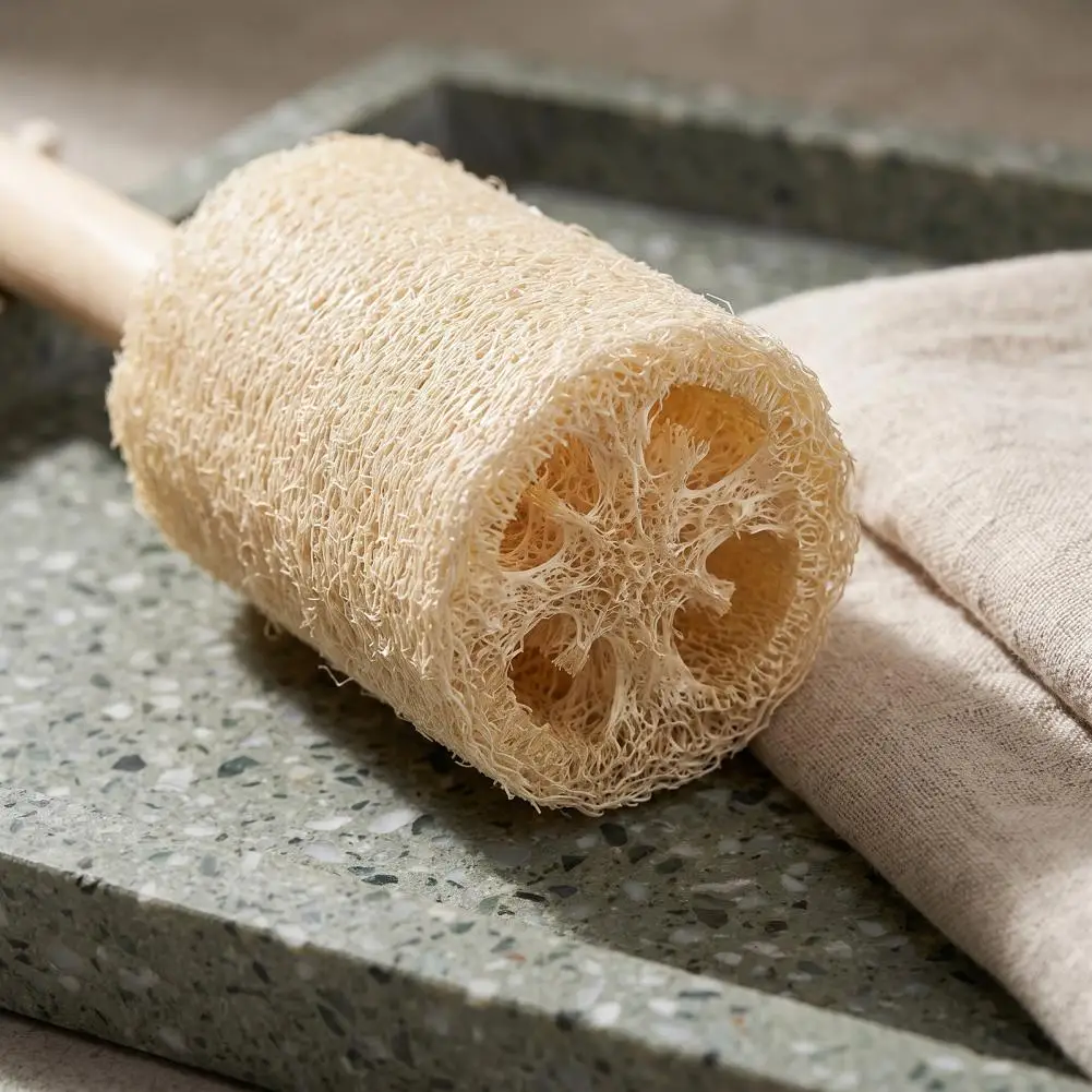 Eco Scouring Sponge Natural Loofah Cup Brush with Wooden Handle Eco-friendly Kitchen Sink Scrubber Non-scratch Pot Sponge Back