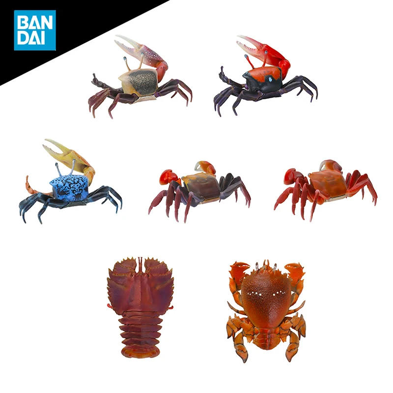 

BANDAI Biological Atlas Crab Squilla Catching Crab Gashapon Anime Action Figure Collect Model Toys