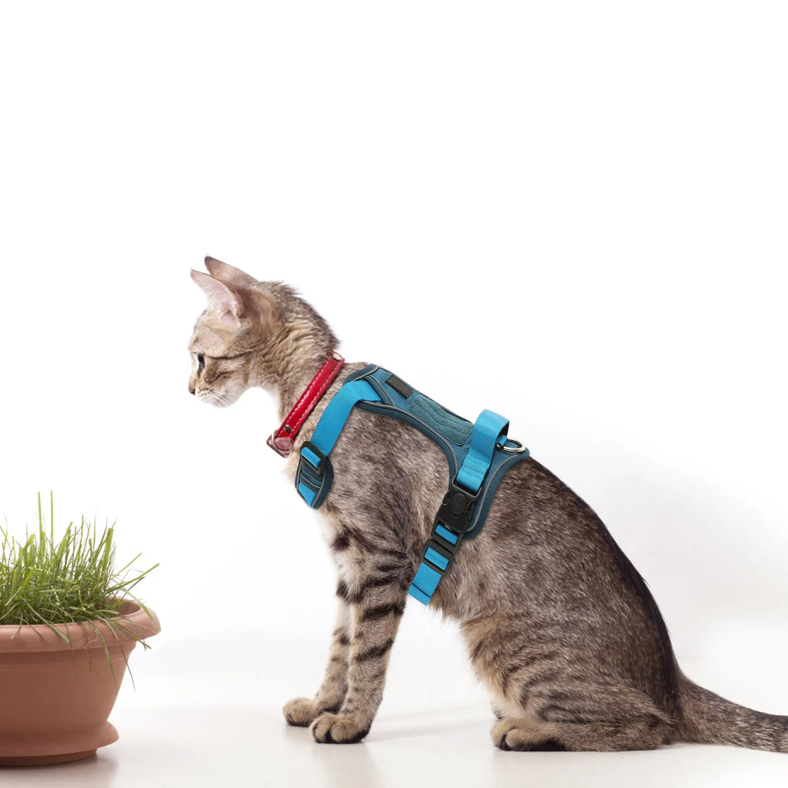 

Портативная регулируемая шлейка для щенков и маленьких собак из прочной ткани Оксфорд с утолщенной застежкой-пряжкой, удобная и плотно прилегающая