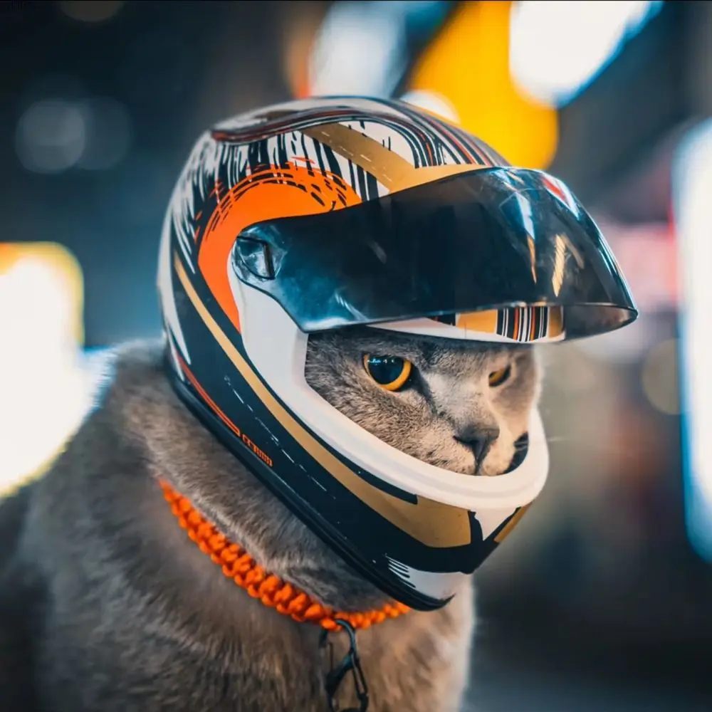 New Mini Cat Helmet Craetive DIY Motorcycle Helmet Decoration Gift Outdoor Pet Photo Props Accessorie