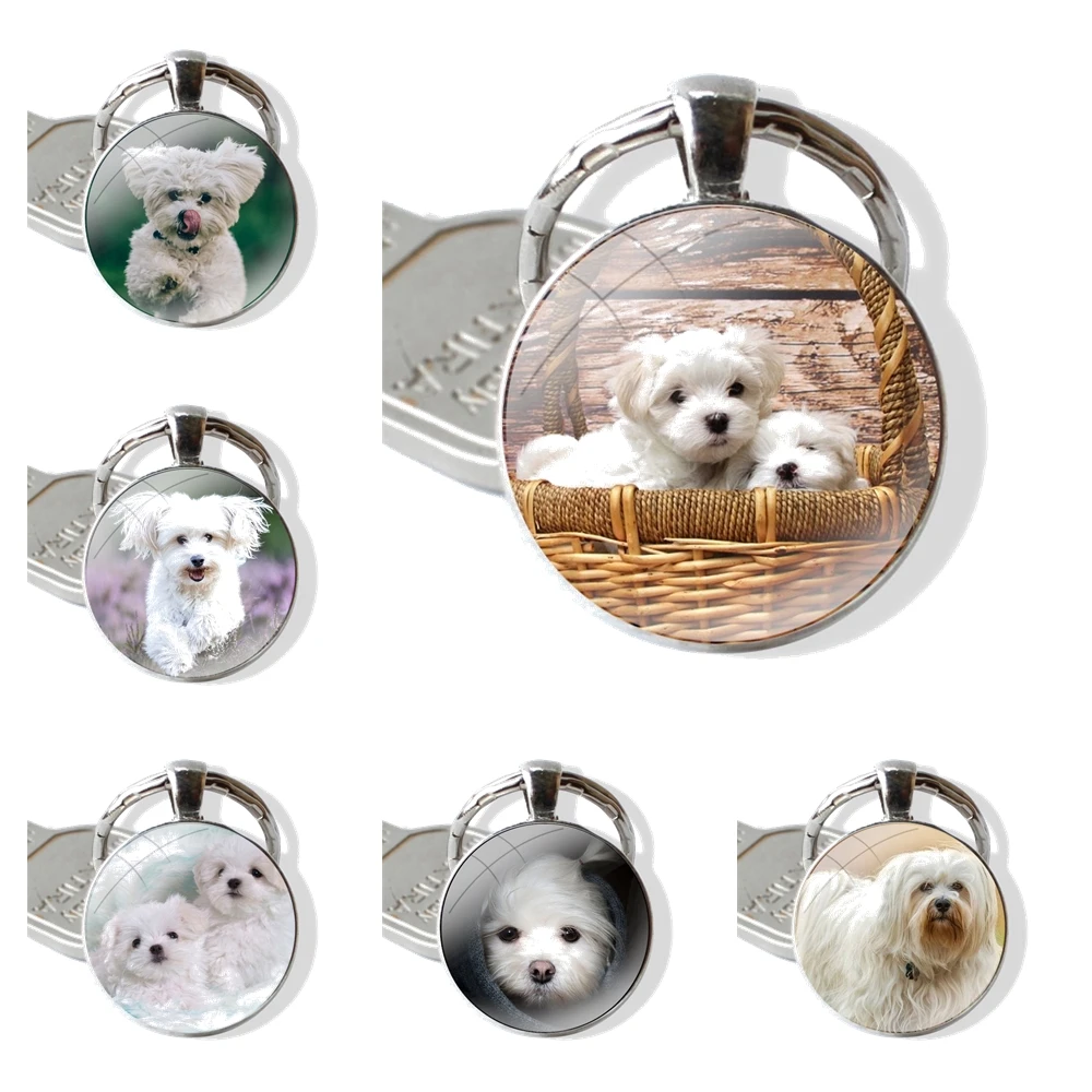 Phone Shell Covers Animal Bichon frise dog Adorable Colored Drawing glass cabochon keychain Car key chain Charms keychains Gifts