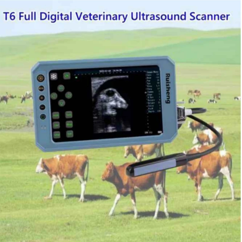 T6 High-Resolution Waterproof Full Digital Veterinary Ultrasound Scanner with Real-Time Imaging for animals