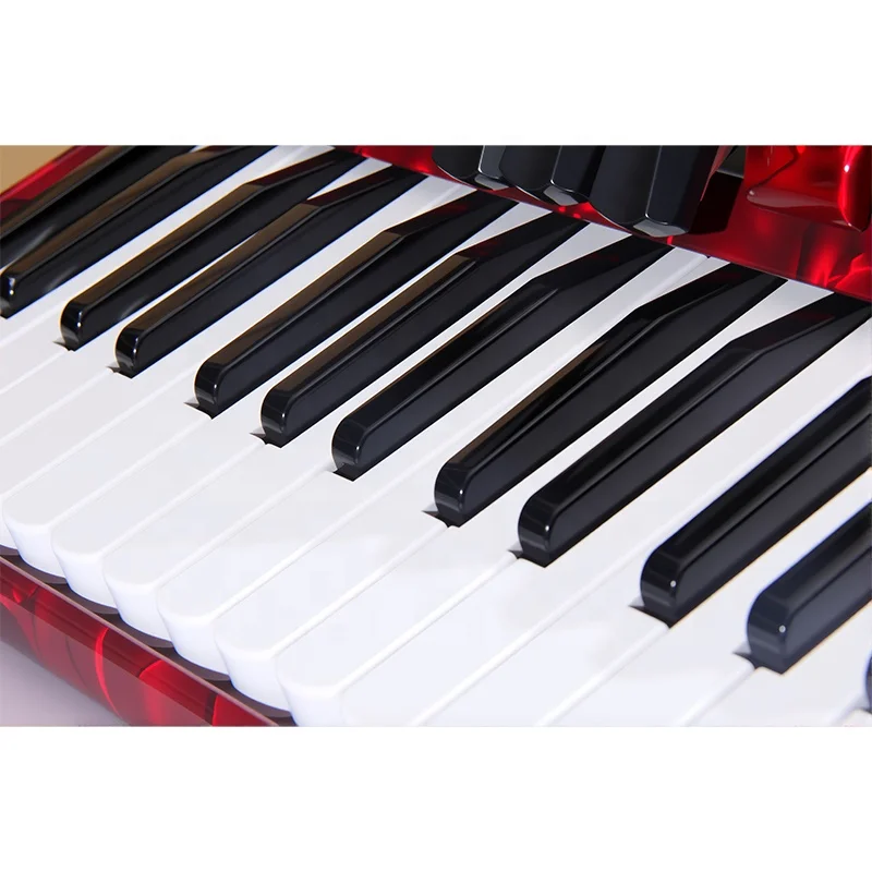 OEM High Quality Professional 30 Keys 48 Bass 3 Registers Red Blue Celluloid Wood Portable Piano Keyboard Accordion Chromatic view 5
