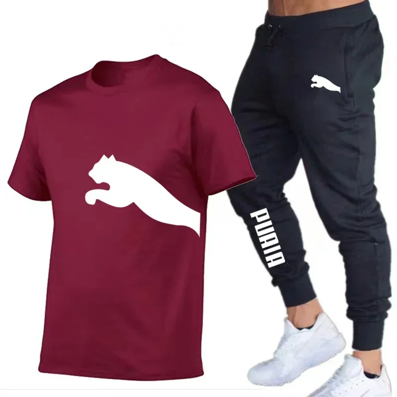 Conjunto casual de camiseta e calça esportiva masculina, manga curta, verão, novidade, 2 peças, 2024