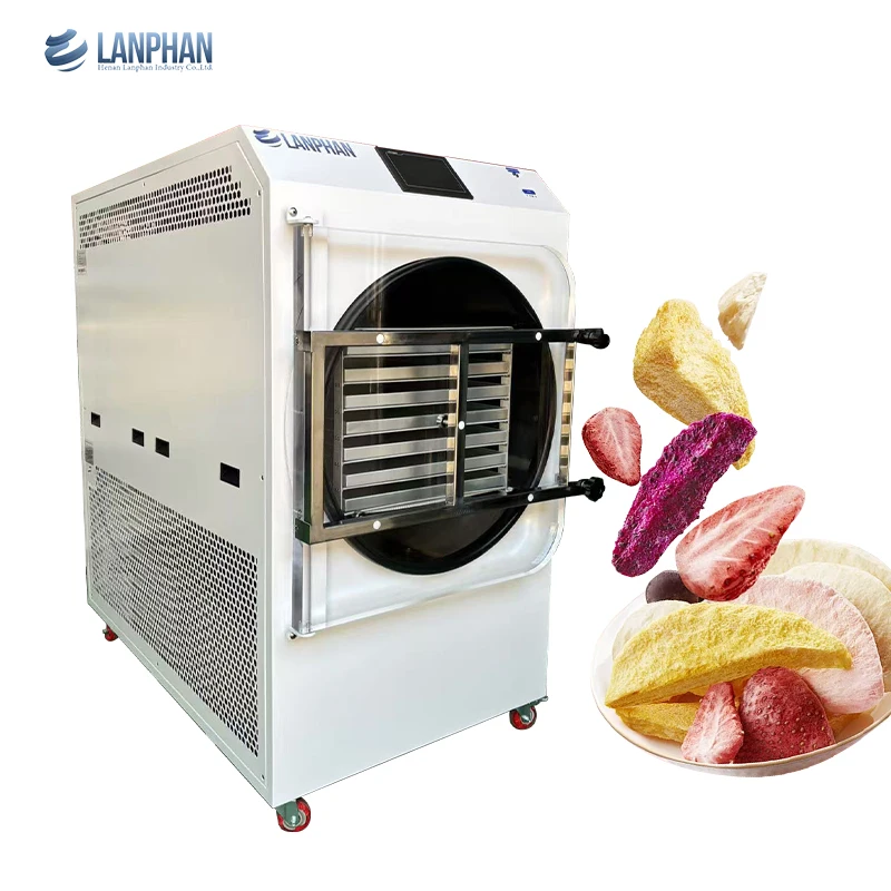 Lanphan HFD-40 Doppi compressori Liofilizzatore sottovuoto ad alta efficienza per la casa
