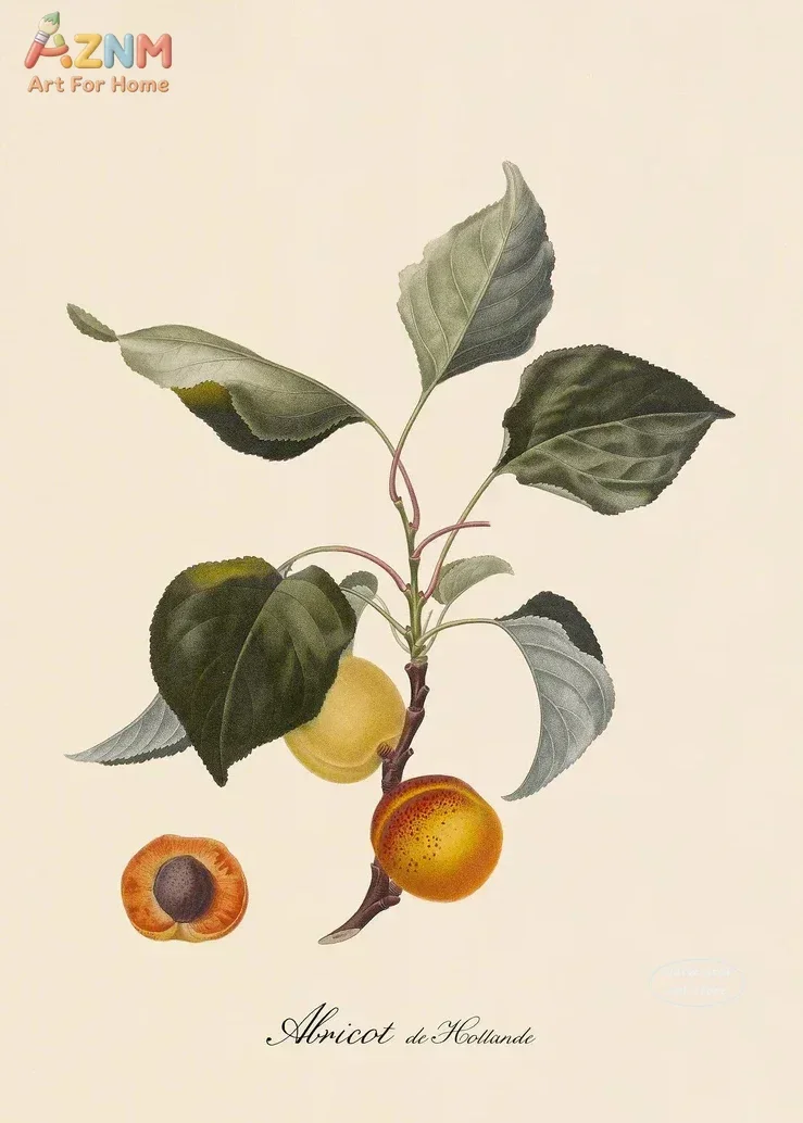 1pc Vintage Botanical Fruit Lemon Prune Orange Vintage Posters and Prints Wall Art Canvas Painting Wall Kitchen Decorati view 3