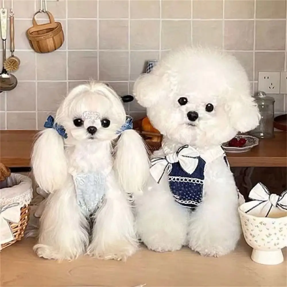 

Trendy Luxury Pet Princess Dress Elegant Princess Style Puppy Summer Clothes Comfortable Fashion Dog Costume Chihuahua