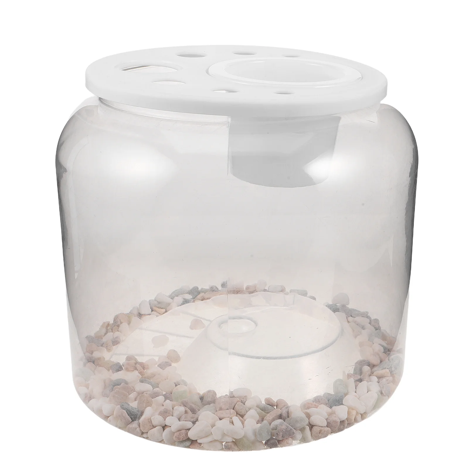 Transparent Tank Clear Round Portable Turtle Terrarium Starter Kit For Reptile Amphibian Pet Observation Desktop