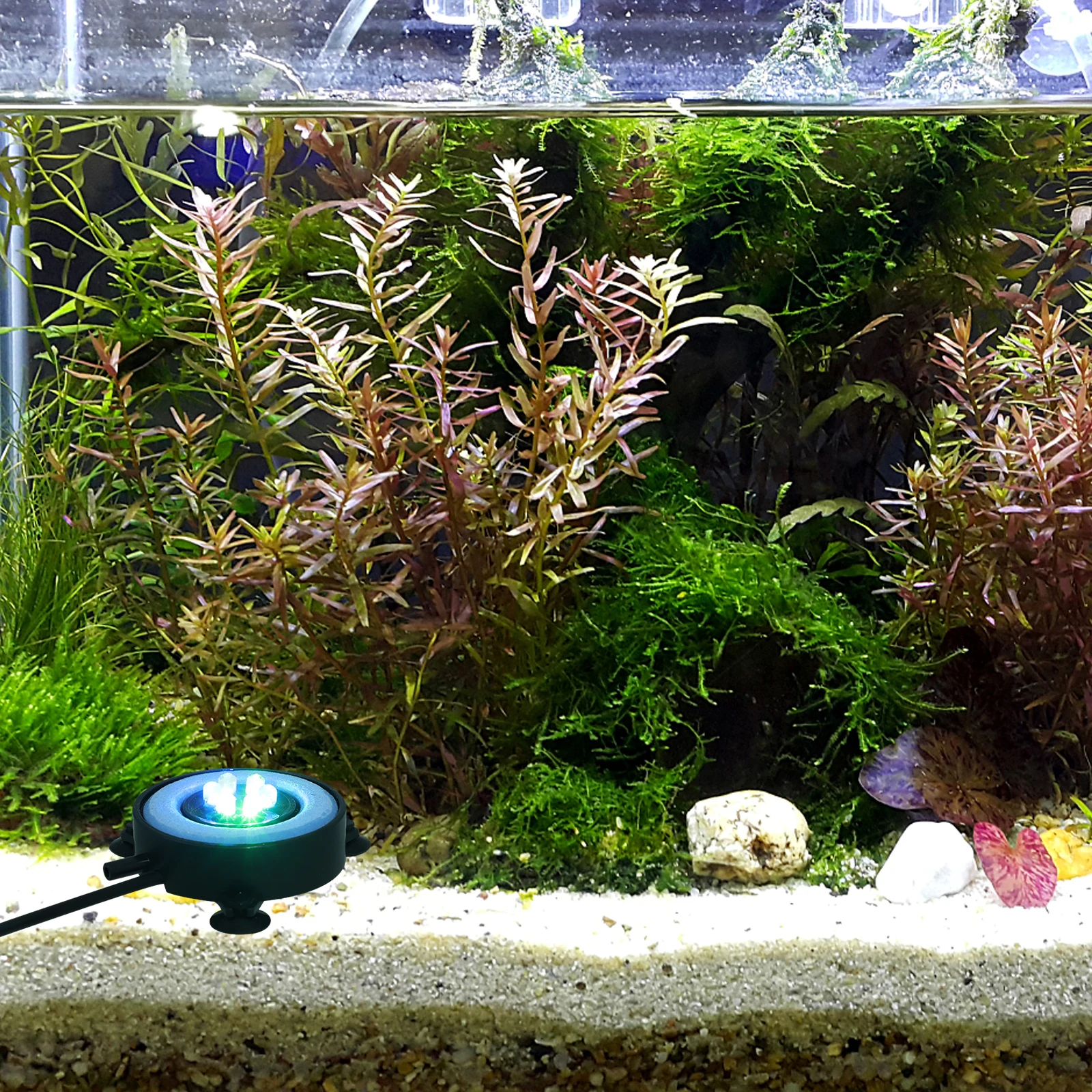 

Light Led Fish Tank Lamp Round Blue Uk Plug Decorative Floodlight Diving Light Decorative Floodlight Bubble Lighting