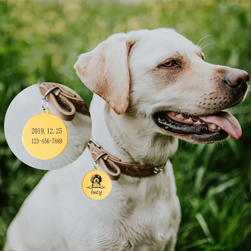 Custom Pet Name Puppy Anti-lost Collars Personalized Cute Engraving Stainless Steel Tag Dog Cat Name Tag Pets Dog Accessories view 3