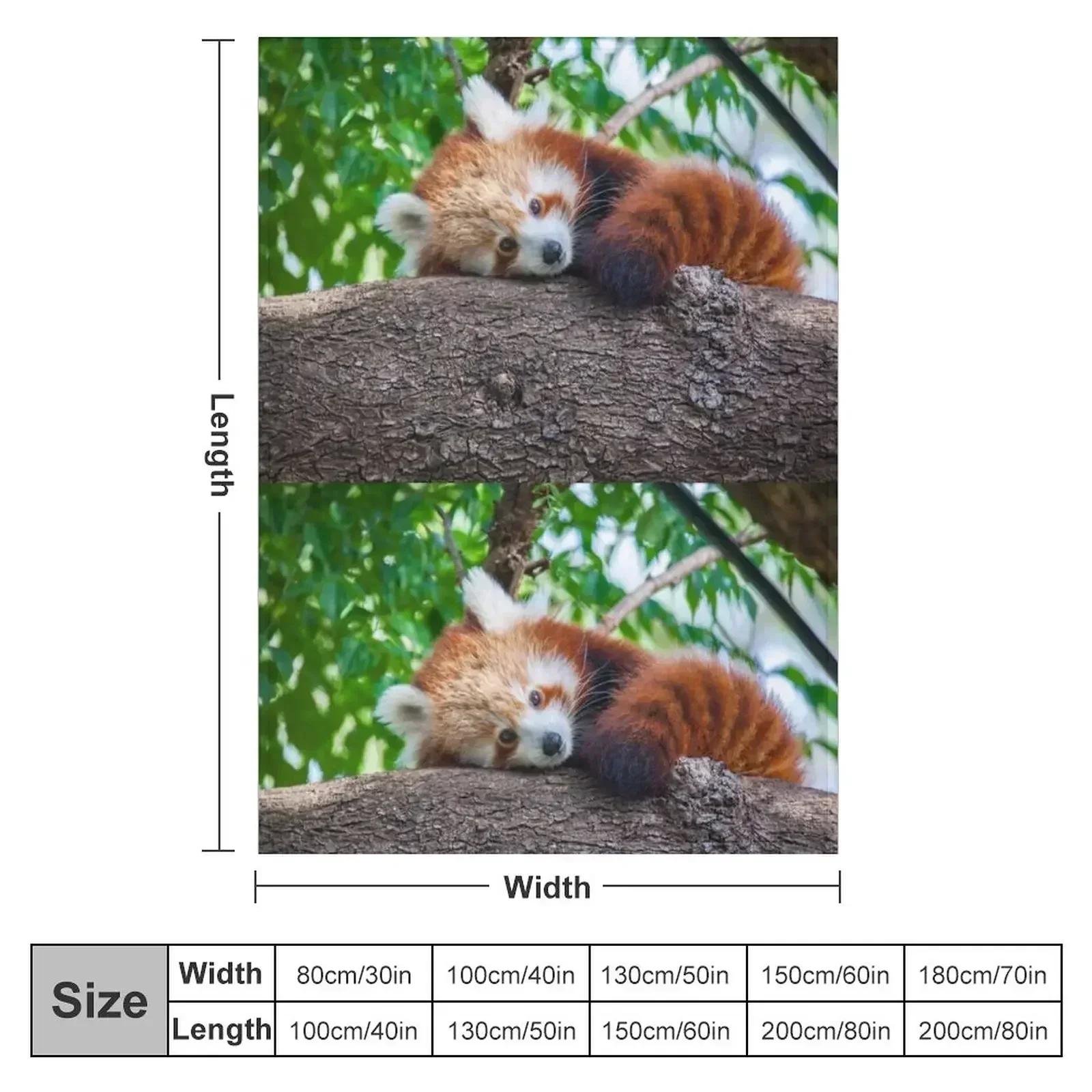 Red Panda Pose Throw Blanket Luxury St Blankets For Bed halloween Moving Blankets