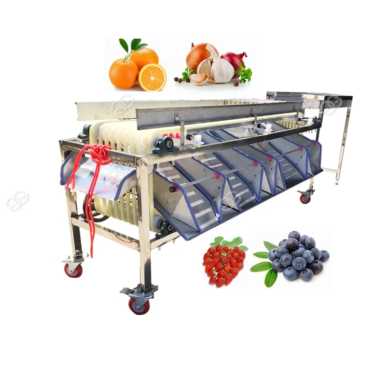 Blueberry Automatic Sorter Blueberry Sorter
