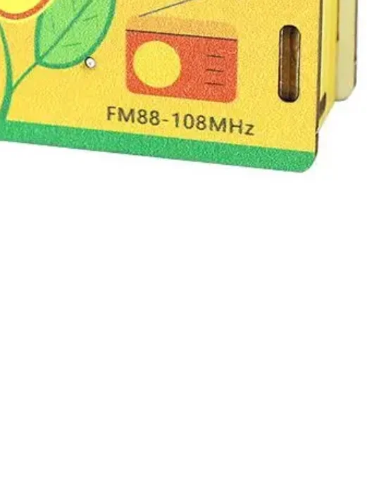 Portable DIY Wireless FM Radio Model Scientific Experiment Handmade Material Package Children's Small Gifts Desktop Ornament