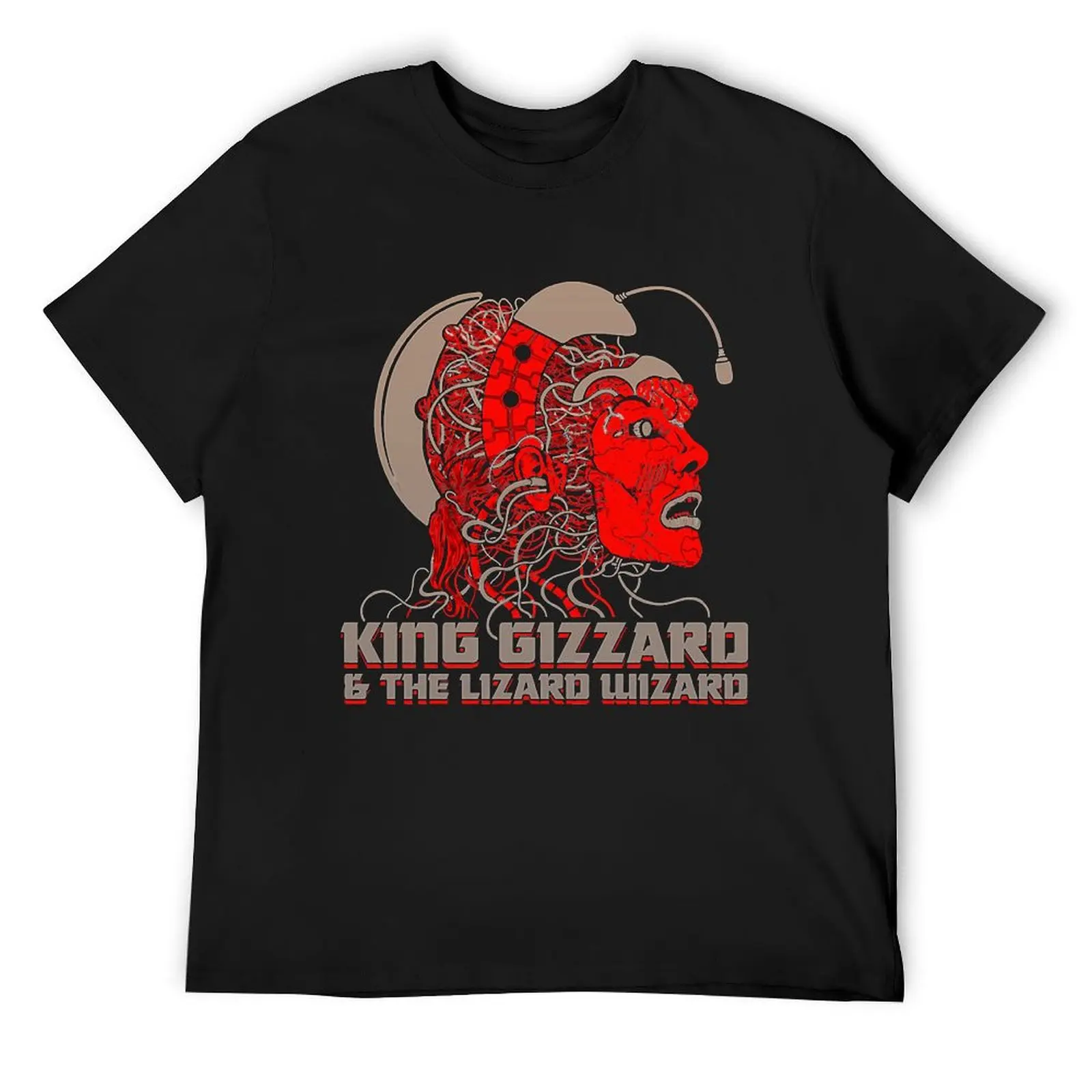 

The Truth Is You Are Not The Only Person Concerned About King Gizzard And The Lizard Wizard T-Shirt