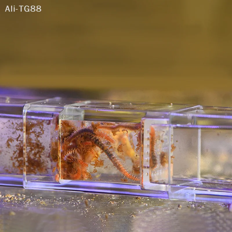 Steel Caterpillar Eddy Worm Ca - огляд і ціна Aquarium Fish Trap