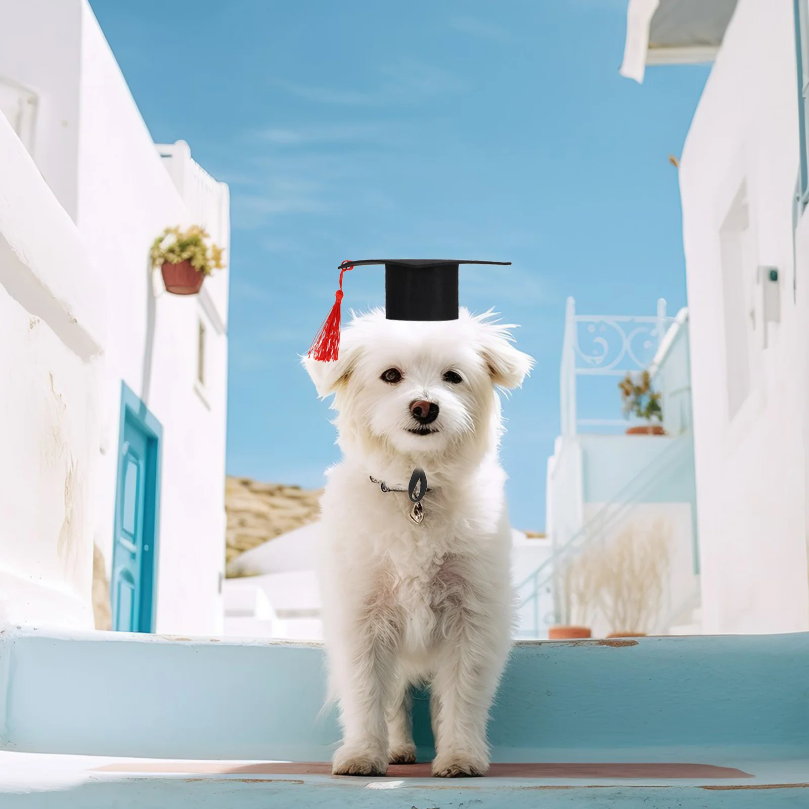 

Small Pet Hat Adjustable Hamster Graduation Cap Lightweight Felt Hat Comfortable Photo Prop Pet Graduation Costume Size L