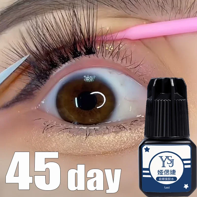 Eyelashes Extension Glue Waterproof Lasting Grafting Lashes Glue Quick Drying Adhesive Black Eyelashes Glue No Irritant Makeup